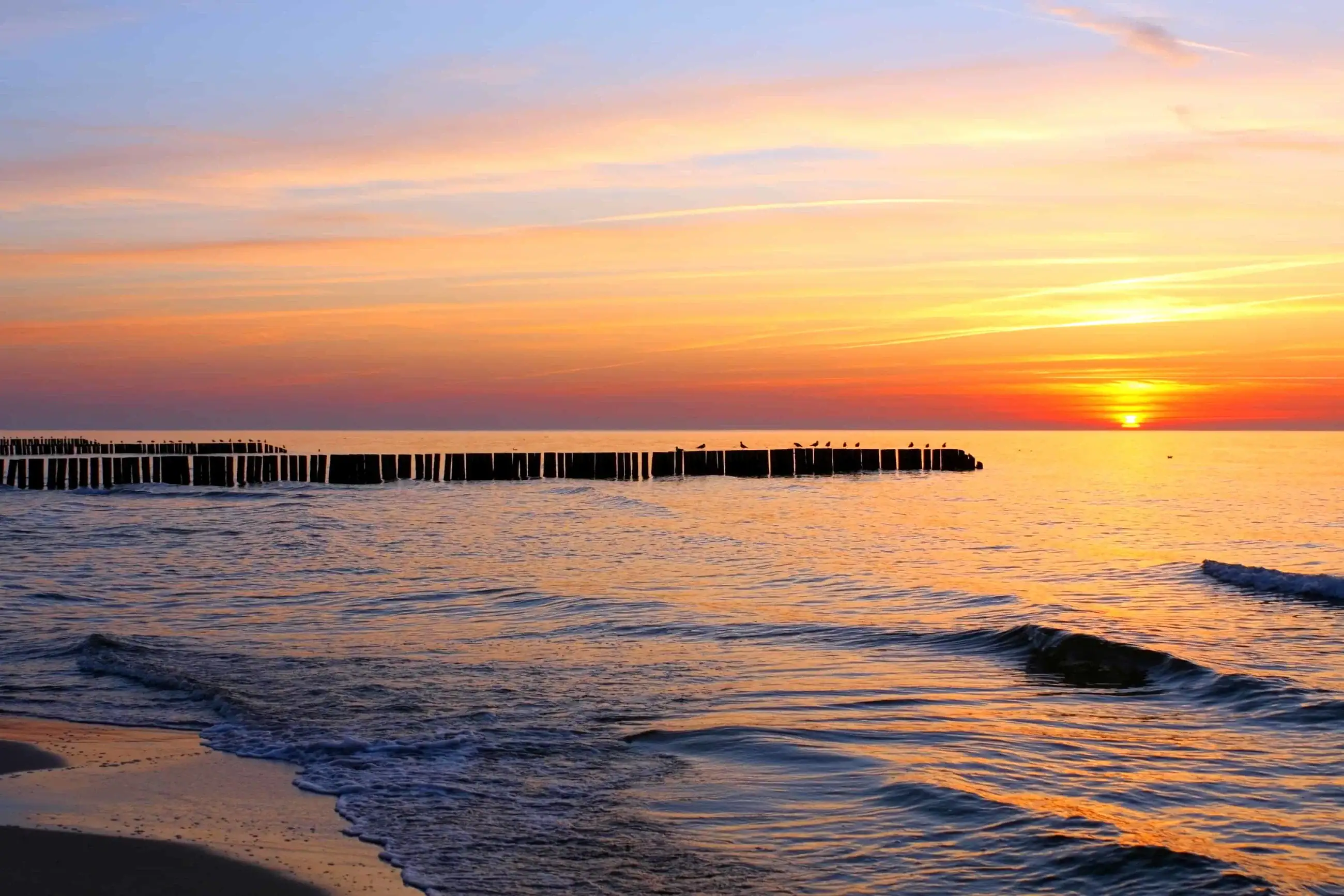 Coastline