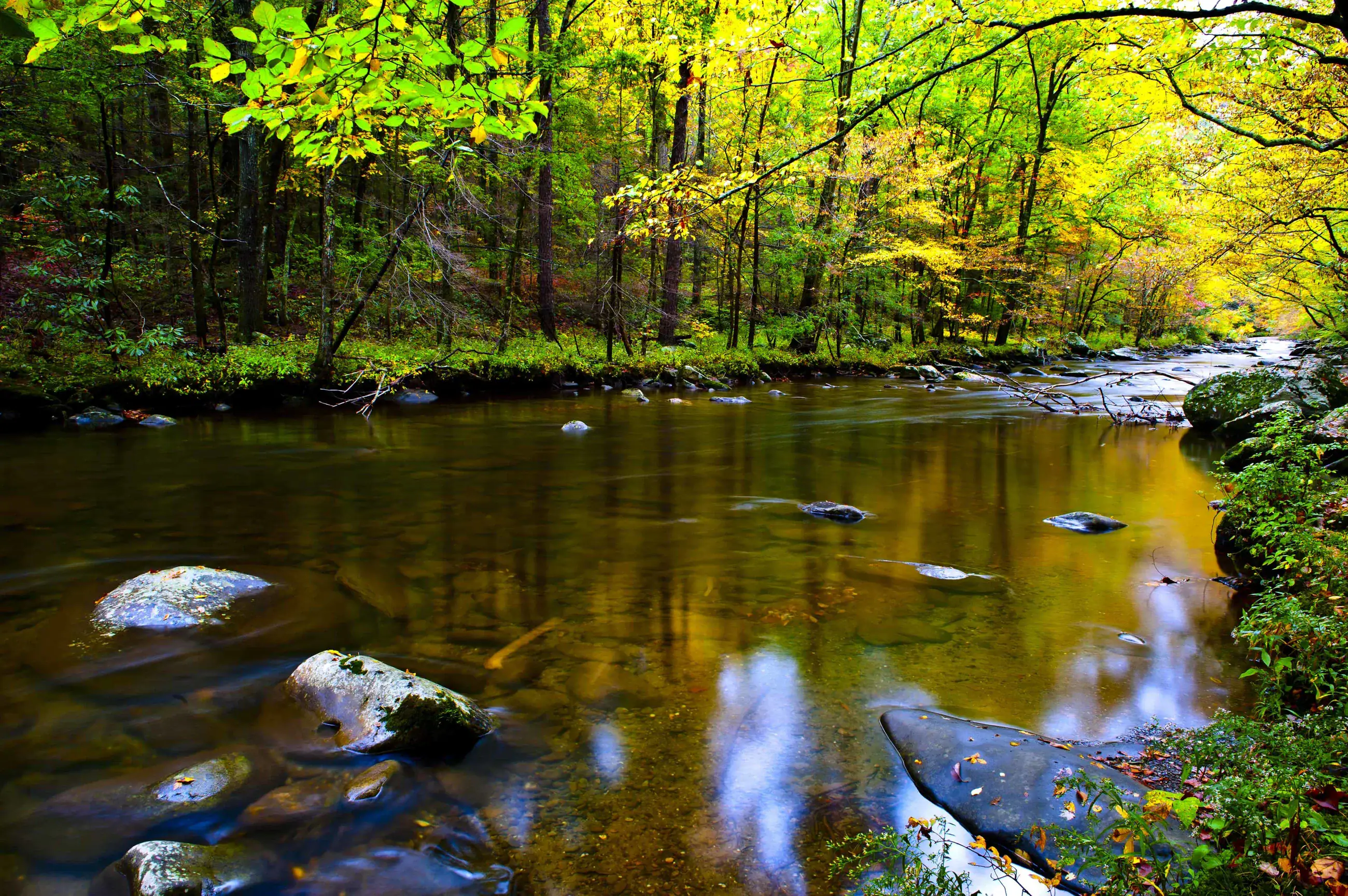 Slow Moving River 1
