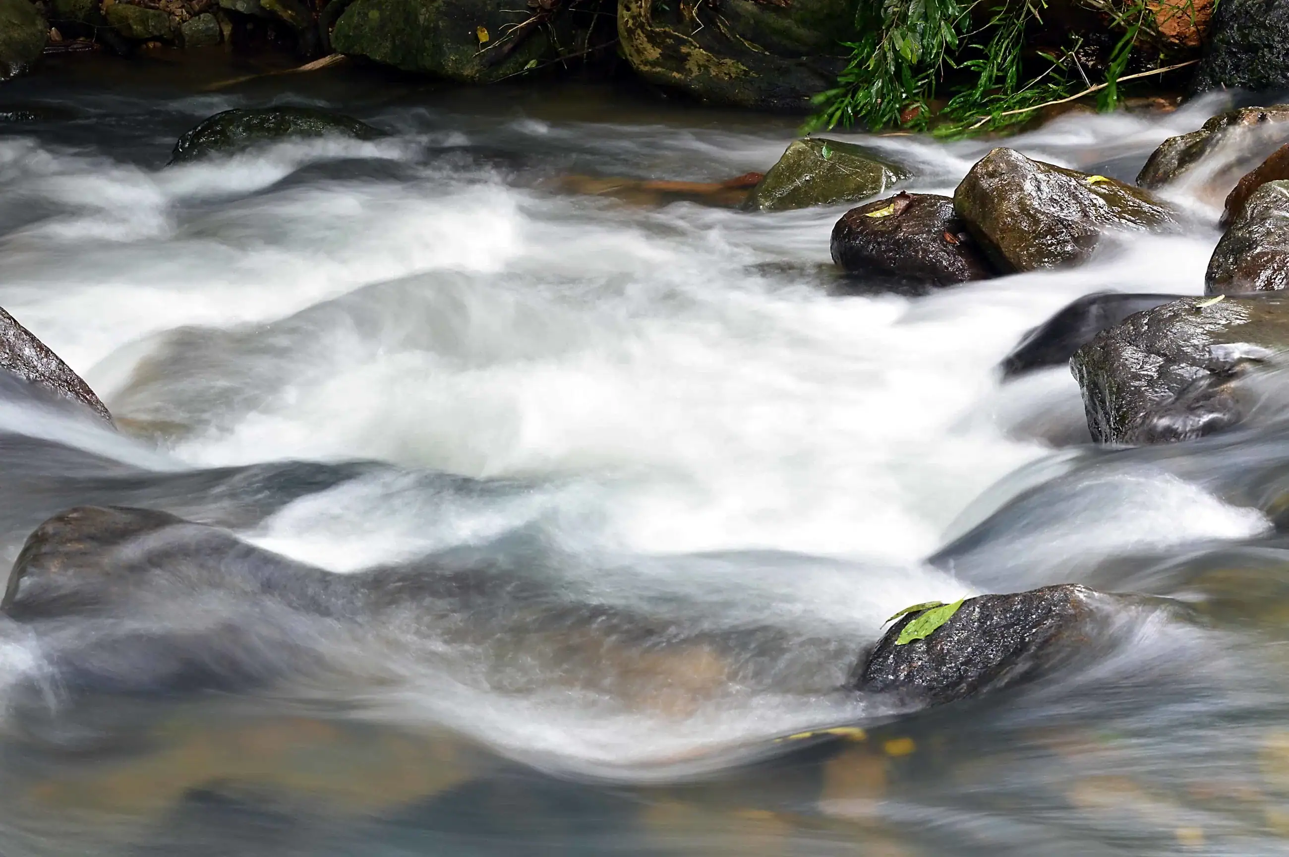 Still And Moving Water