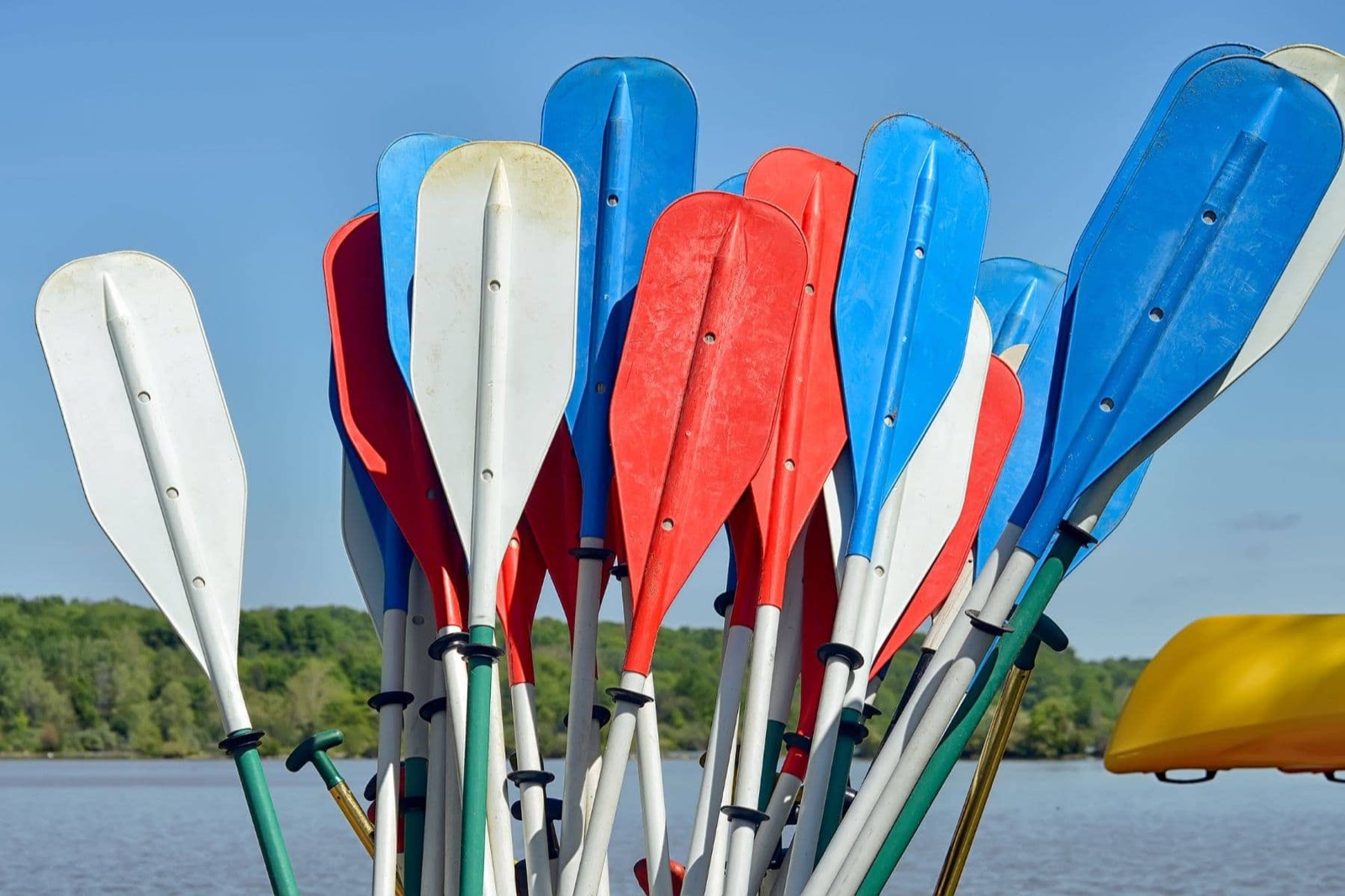 Kayak Paddles