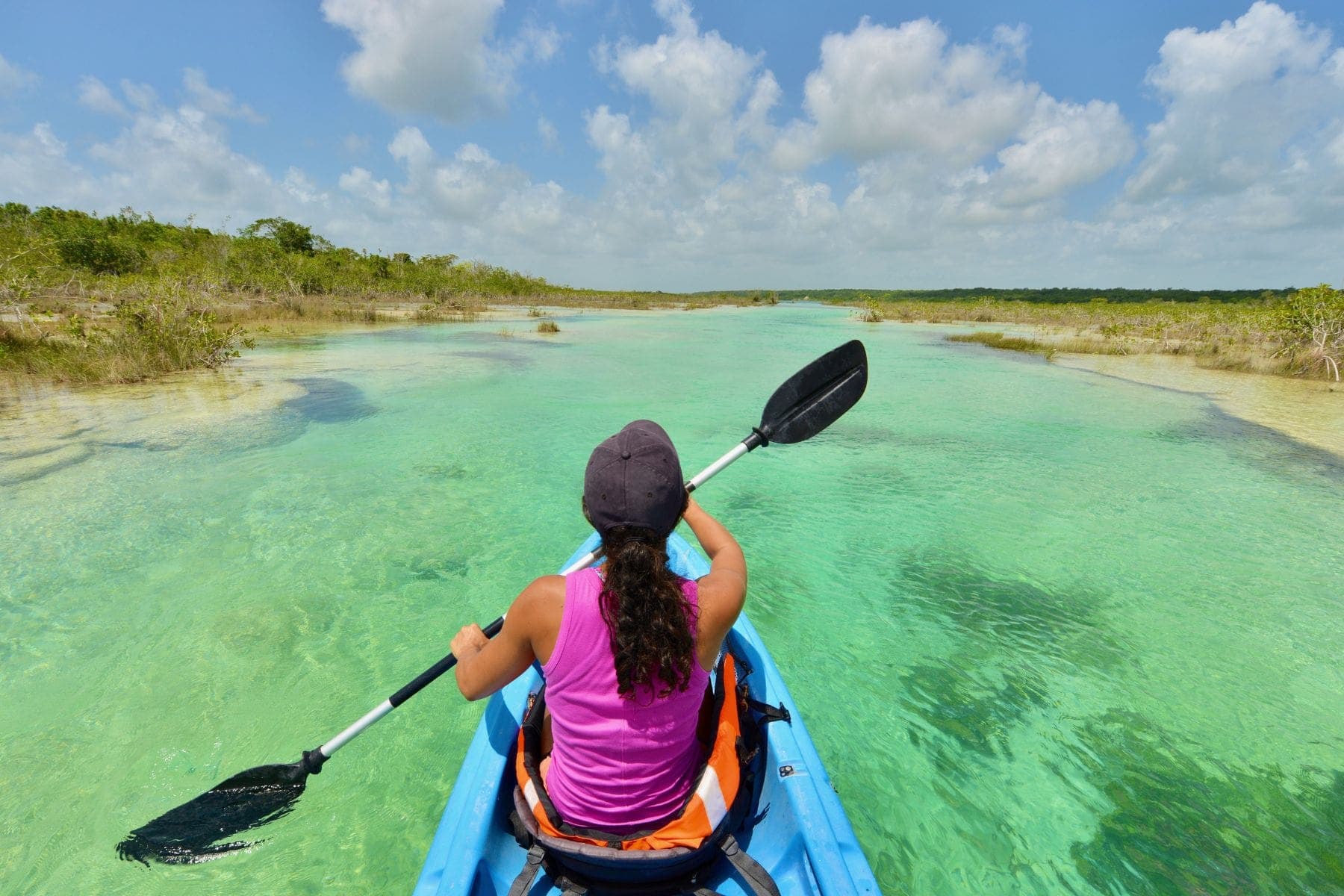 Kayak Paddles Wing