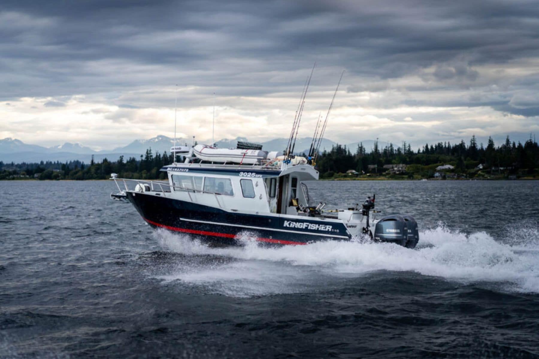 Kingfisher 3025 gfx featured
