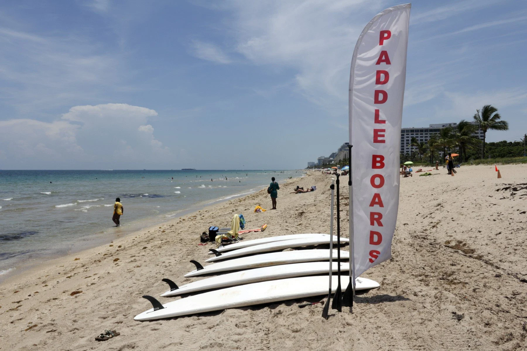 Renting Paddle Board Beach Rental