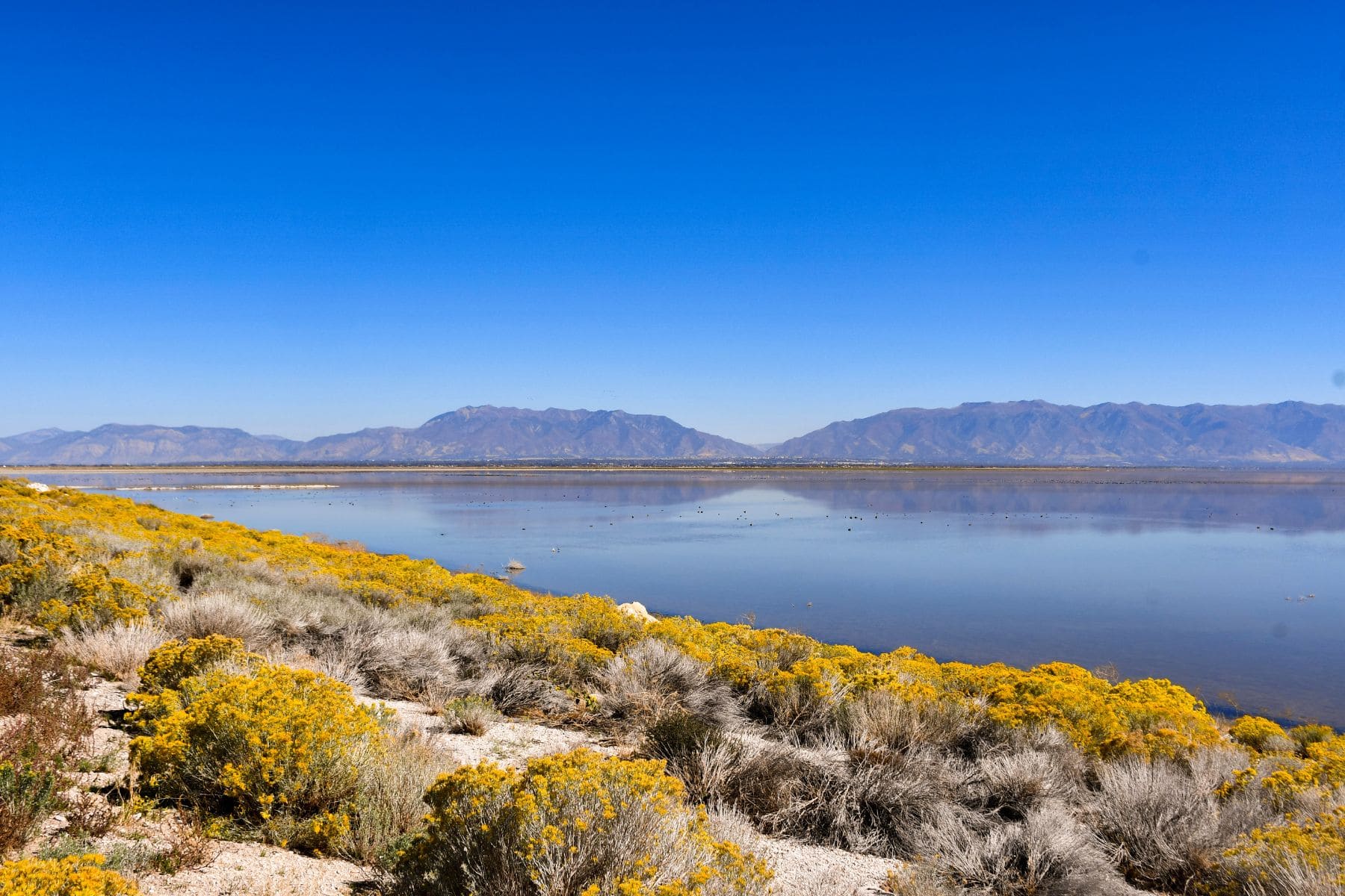 Paddling Guide to Salt Lake City