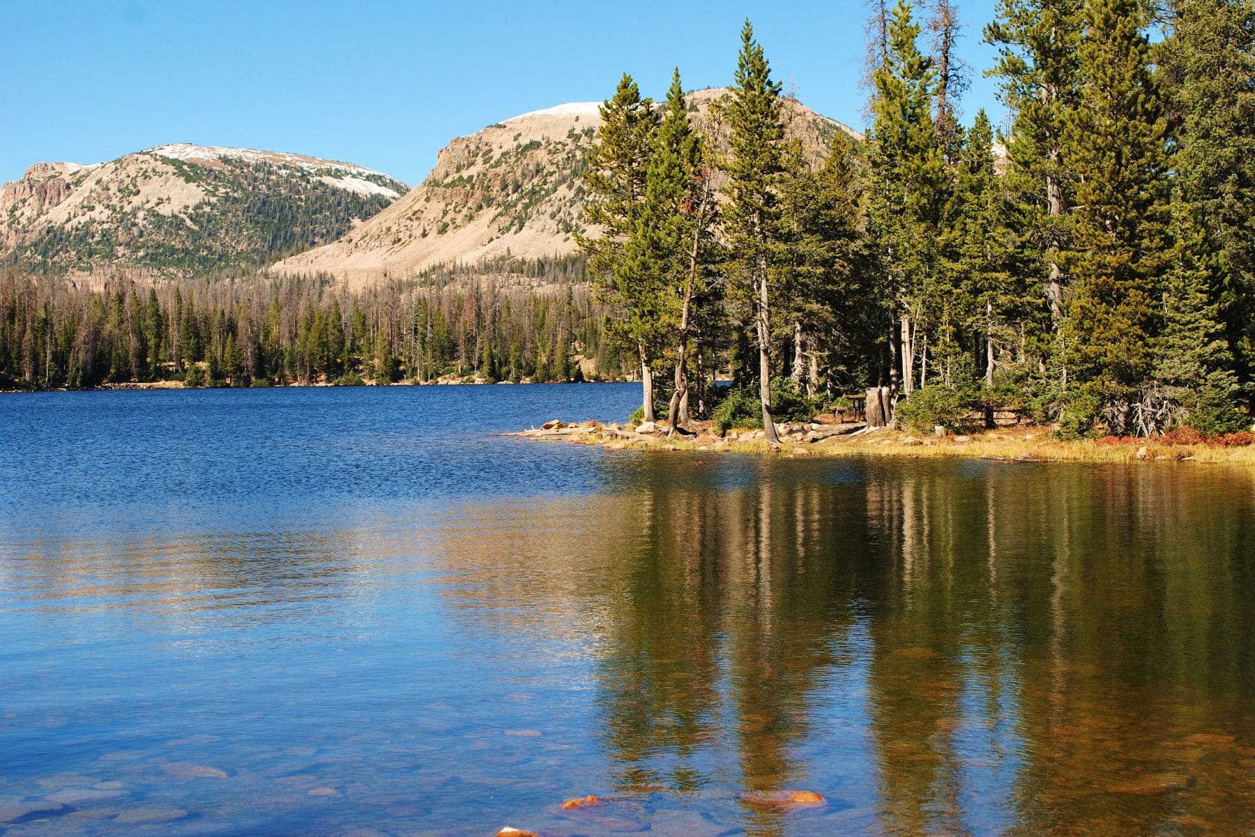 Mirror Lake Featured