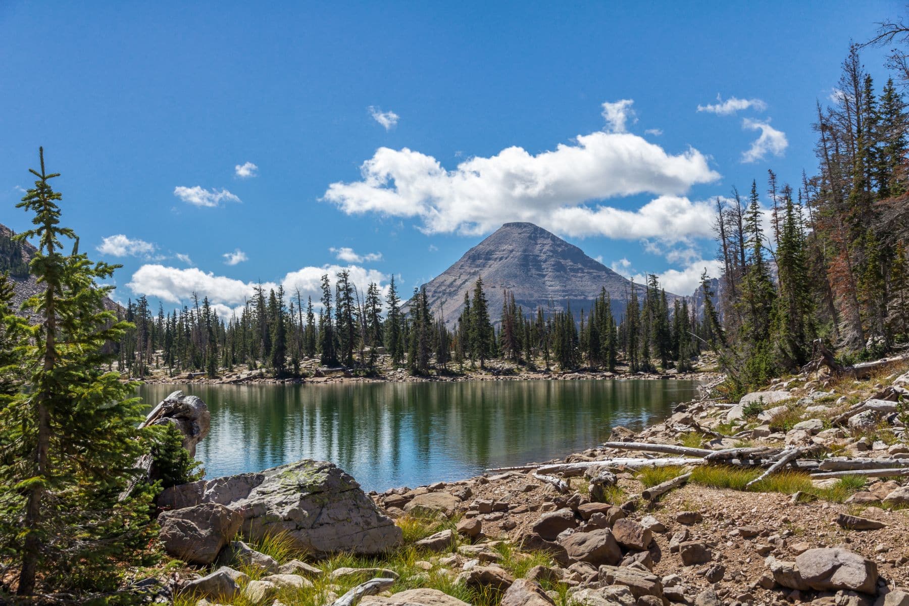 Paddling Guide to Salt Lake City
