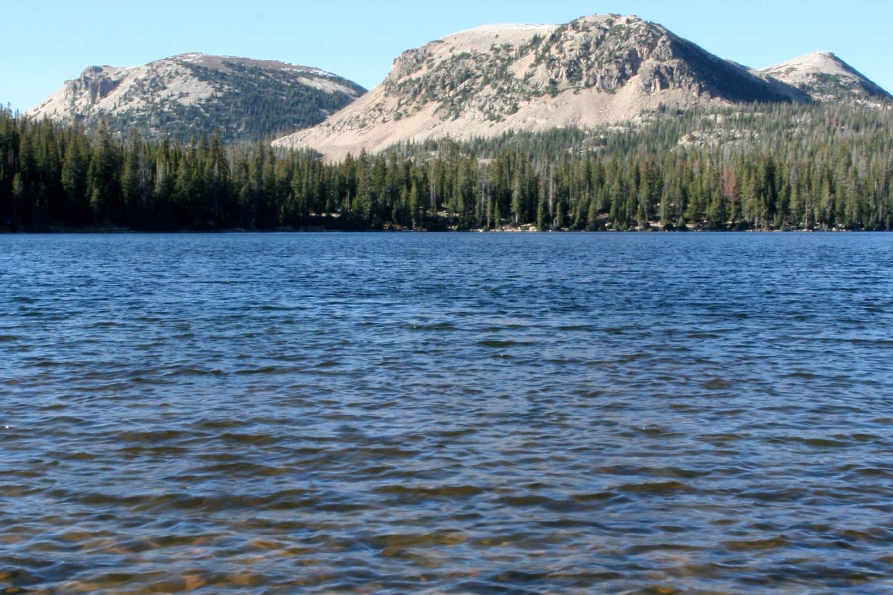 Mirror Lake Water