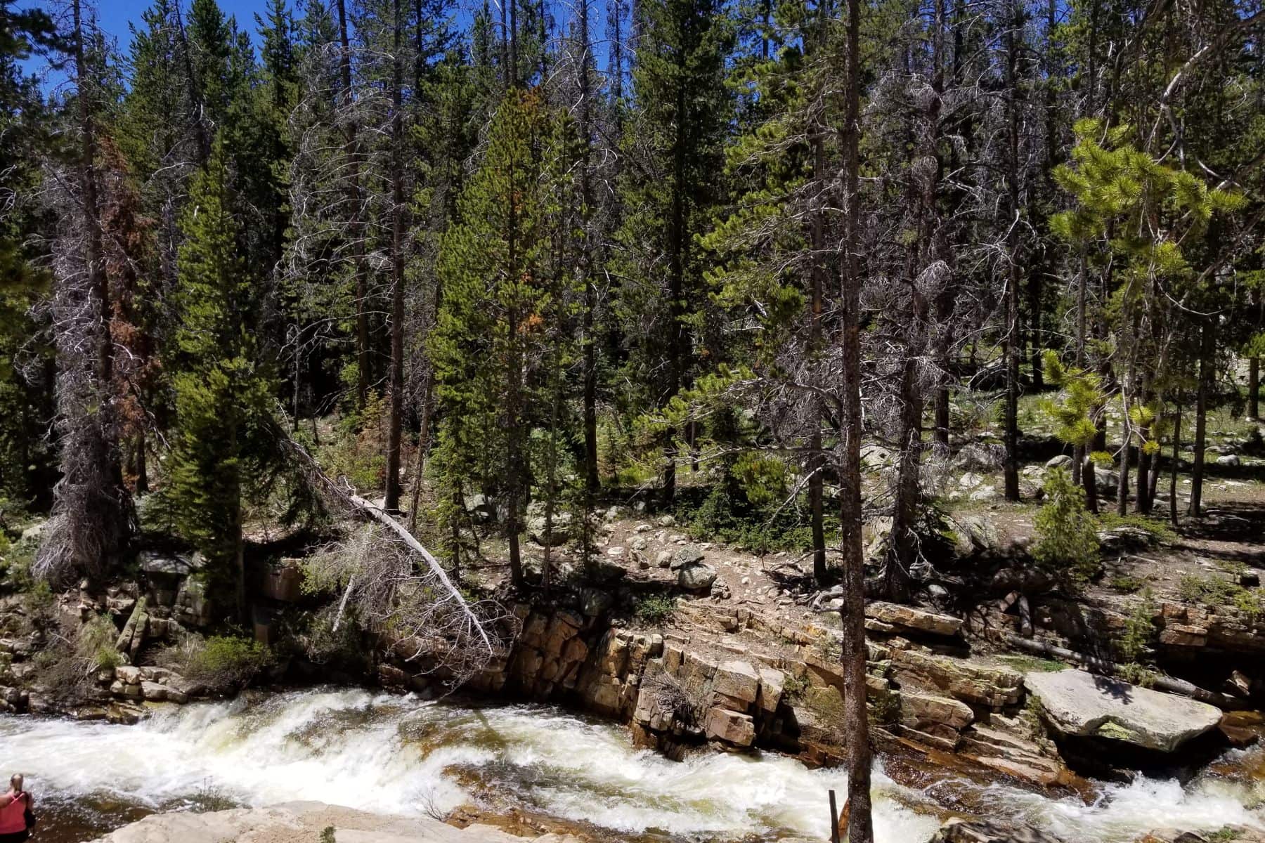 Provo River Feature