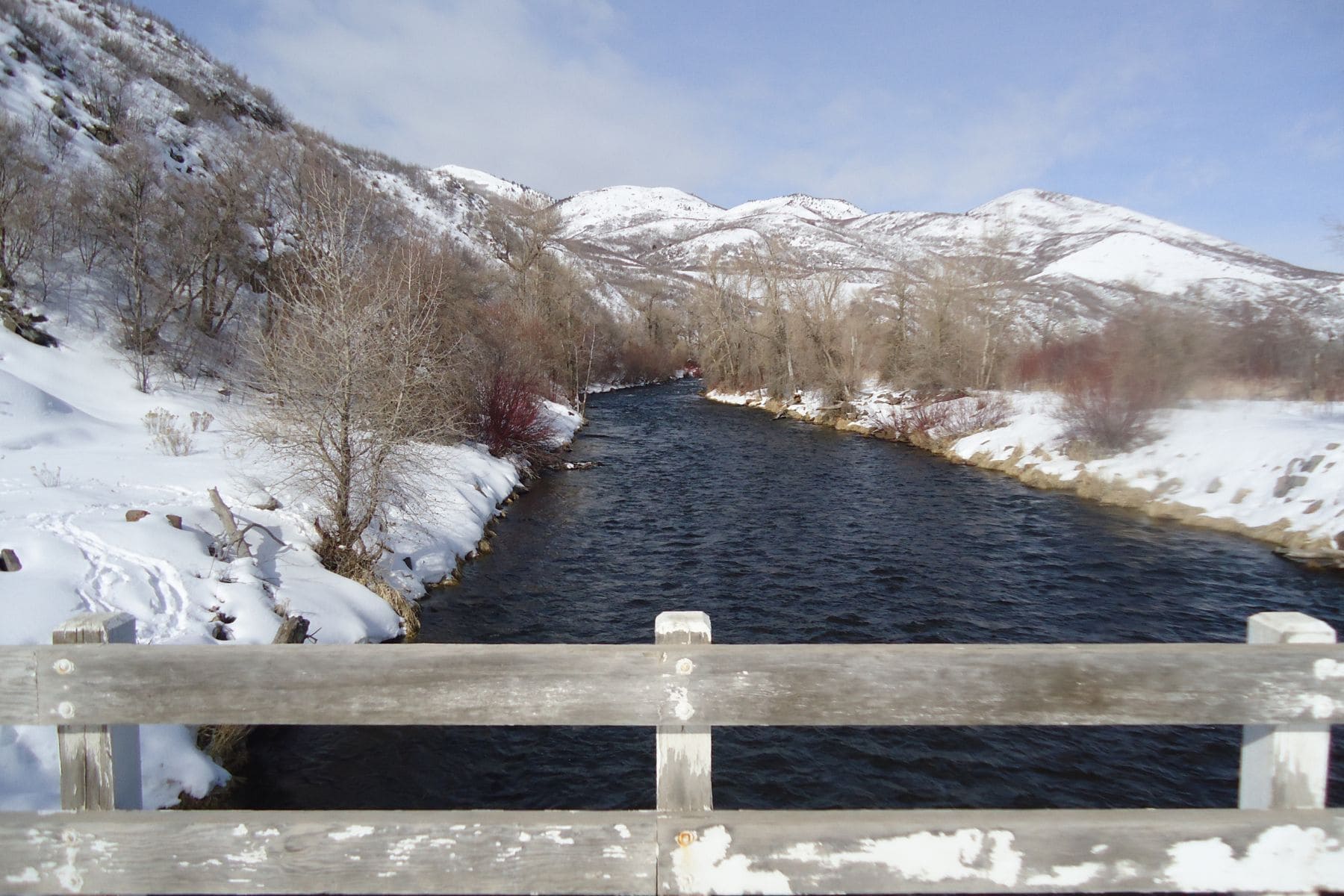 Provo River Upper
