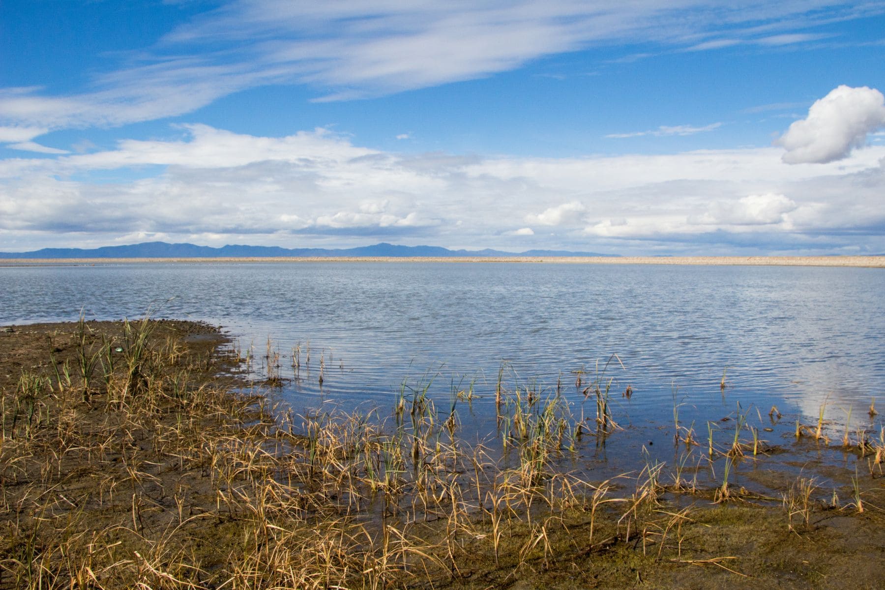 Willard Bay State Park Featured