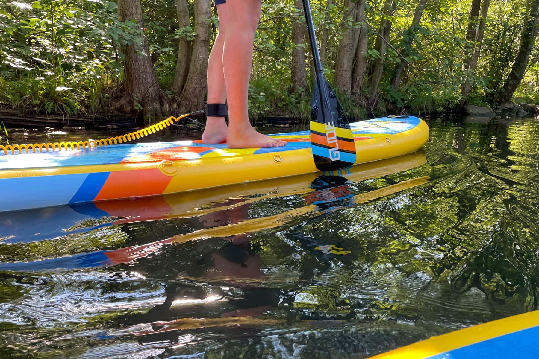Paddles 4